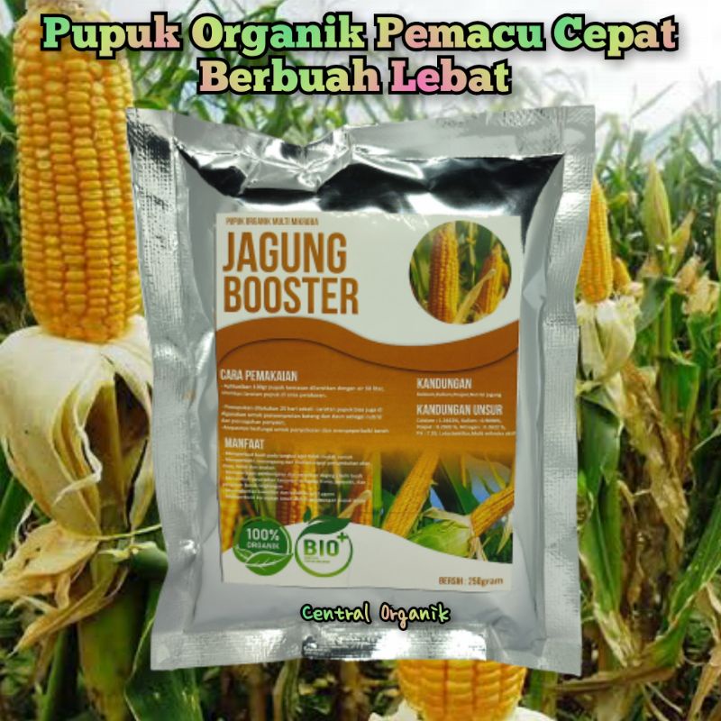 Pupuk Organik Tanaman Jagung