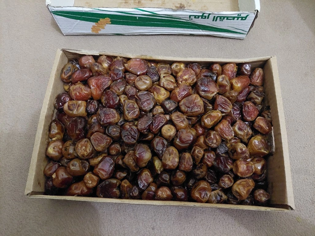 Distributor Kurma di Makassar