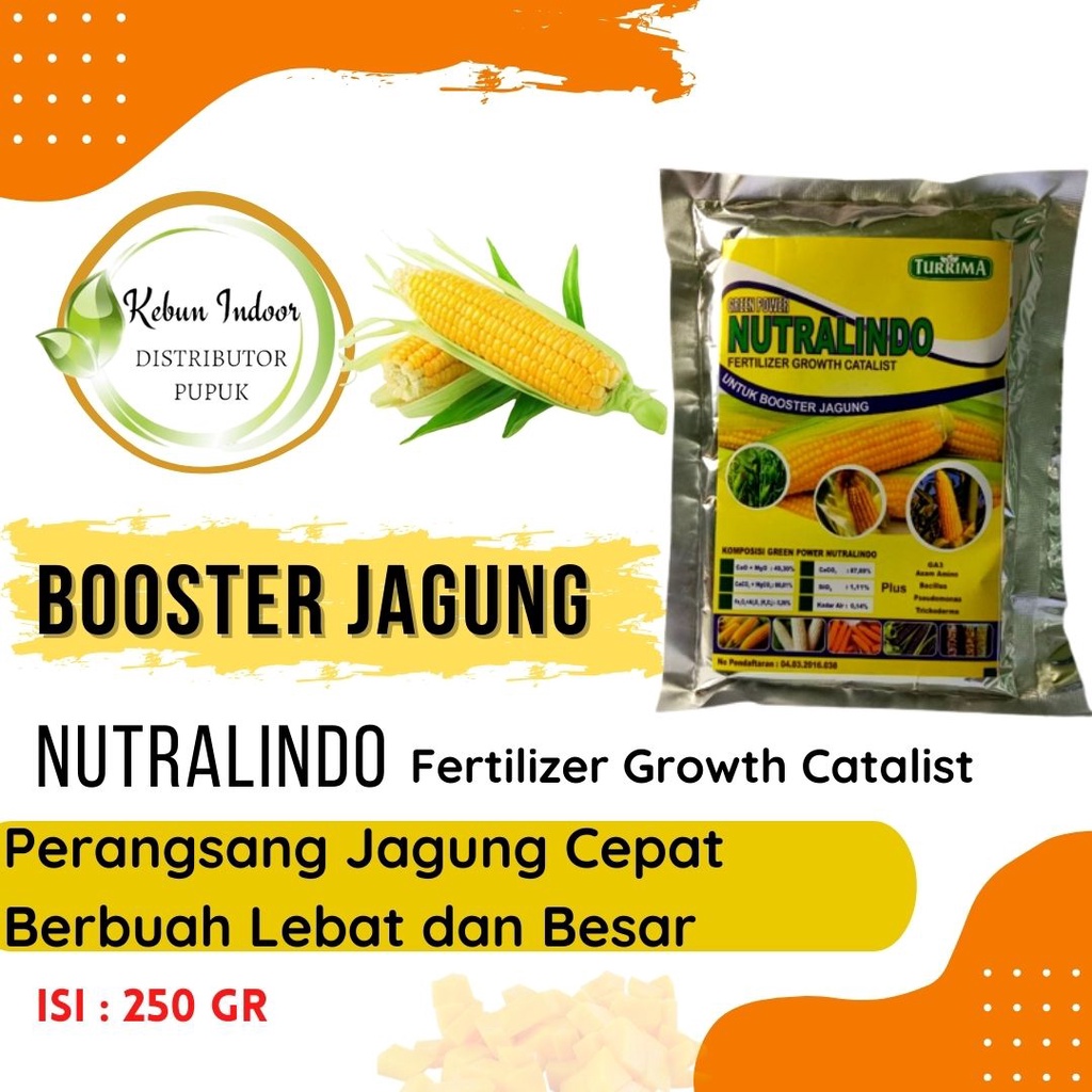 Booster Tanaman Jagung