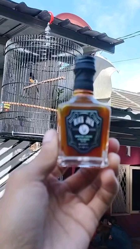 BLACK JACK , dopping burung untuk semua jenis burung, RAHASIA KICAU MANIA PASTI JUARA #SpillRacunShopee #SpillBawaBerkah #shopeevideo