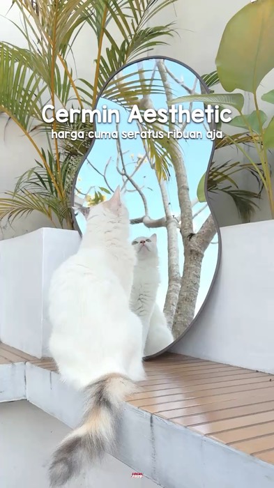 CERMIN AESTHETIC #cermin #cerminaesthetic #cerminestetik #cerminviral #cerminestetikmurah #cerminabstrak #cermincantik #RacunShopee #SpillRacunShopee