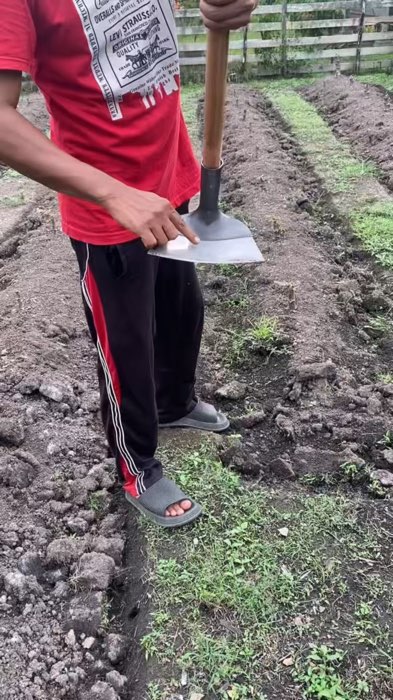 #RacunShopee #cangkulkepalapenggantibaja #cangkulrumput #alatrumahtangga