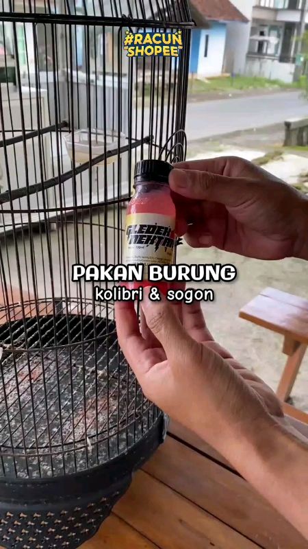 #nektar #gledeknektar #pakankolibri #pakansogon #nektarkolibri  #nektarsogon  #pakanburungsogon #pakanburung #pakanburungkolibri #pakanburungsogon