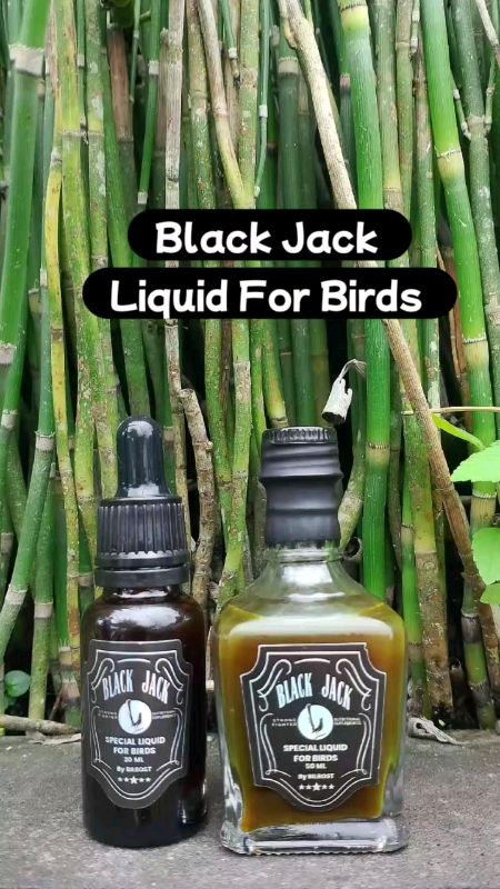 Black Jack Doping Vitamin Burung bikin burung jadi gacor #blackjack #kicaumaniaindonesia #vitaminburungkicau #blackjackdoping #liquidforbird