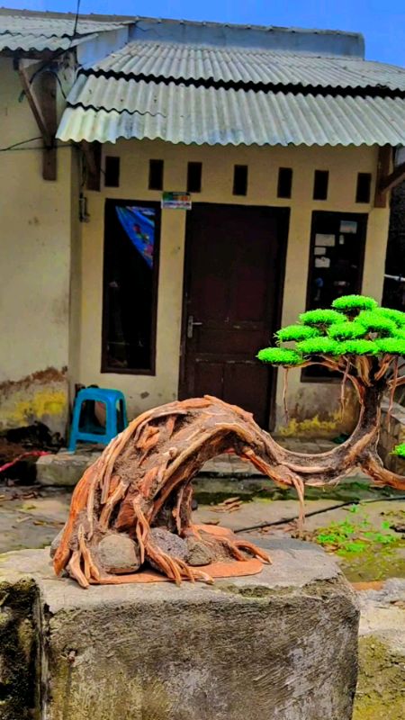 bonsai aquascape sintetis lucu dan keren dijamin akuarium kalian lebih keren pakai bonsai ini#bonsaiaquascapesintetis #pohonakuarium #aquascapehobby