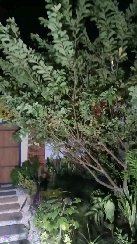 Lampu Darurat Untuk Padam Listrik Bisa Pakai Energi Matahari #SpillRacunShopee #LampuLEDdarurat #LampuEmergency #LampuUntukPadamListrik #LampuH2S