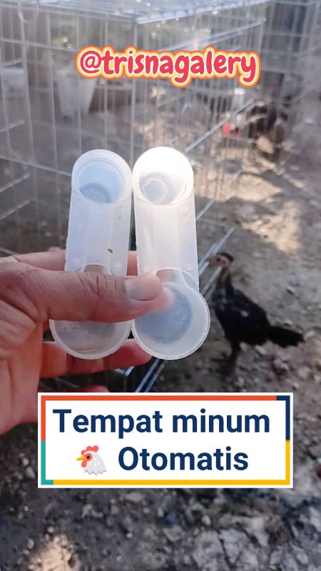 #tempatminumayam #99supershoppingday #GratisOngkirRP0 #ternakayam #tempatminumburung