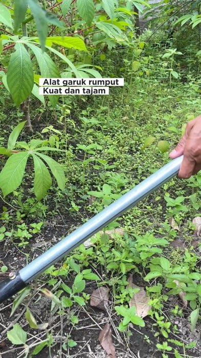#RacunShopee #DiskonRacunShopee #ViralDiShopeeVideo #GakNyeselBeliIni #ShopeeCOD #Diskon50Persen #RacunShopeeCheck