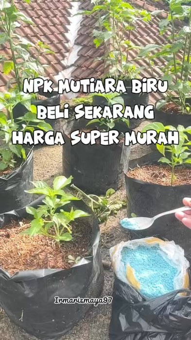 Nyesel kalau gak borong #pupuknpk #NPKMutiara #npk #pupuknpk161616 #pupuknpkmurah #shopeevideo #RacunShopee #Diskon50Persen #SpillBawaBerkah #fyp