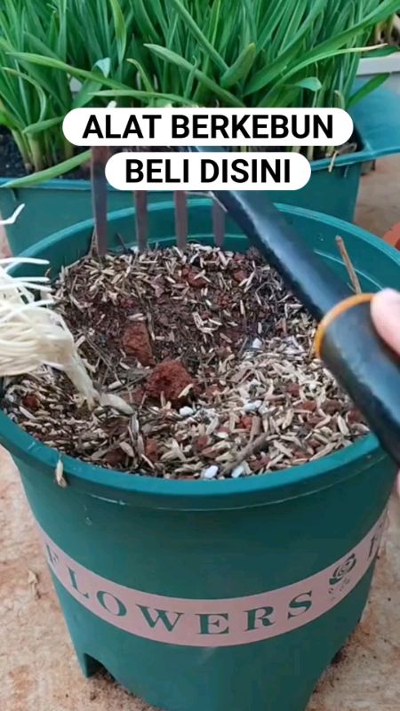 BELI DISINI BOSQUE#alatgaruktanah #alatkebun