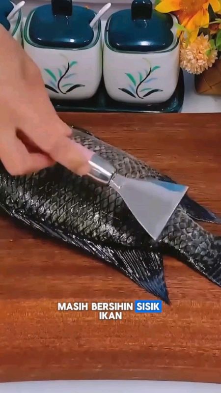 alat pembersih sisik ikan #alatpembersihsisikikan #pengupassisikikan #pembersihsisikikan #RacunShopeeCheck #GratisOngkirRP0 #GakNyeselBeliIni