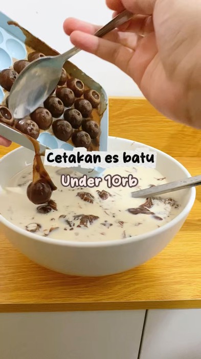 Cetakan es batu #cetakan #cetakanesbatu #cetakanjelly #RacunShopee #SpillRacunShopee #ViralDiShopeeVideo #GakNyeselBeliIni #PromoNonStop