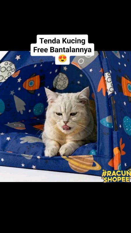 tenda kucing lucu, motifnya ada banyak, yang polos juga ada. Gas CO!! #tendakucing #kucing #anabul #shopeevideo #RacunShopee