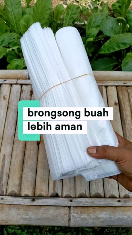 brongsong buah berpori #pembungkusbuah #brongsongbuah #bungkusbuahdipohon #GratisOngkirRP0 #GakNyeselBeliIni
