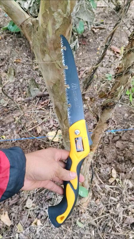 potong batang kayu jambu udah besar ini #gergajilipat