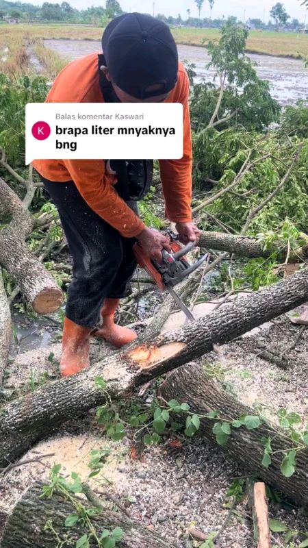 #solusibuat#parapemangkas#pohon#inidiani#mesinsenso#miniringan#bahanbakar#irit#fyp#murah#viral#ditiktok#terlarisdisopeee