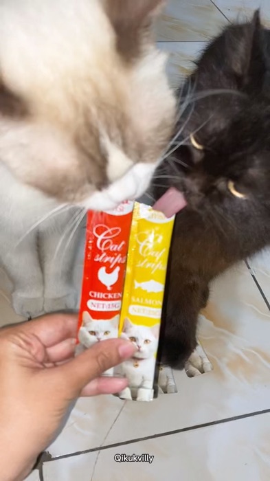#oyisi #oyisicatfood #oyisisnackkucing #oyisiwetfood #oyisisnack #oyisikucing #catfood #makanankucing #makanankucingmurah #SpillRacunShopee #fyp #cat