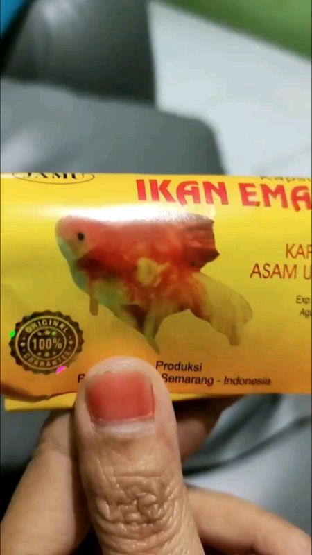 JAMU ASAM URAT CAP IKAN MAS ORIGINAL #JAMUCAPIKANMAS #RacunShopee #DiskonRacunShopee #SpillBawaBerkah