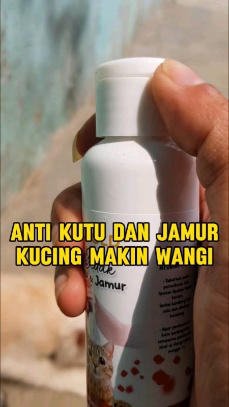 Paling ampuh bukan omongkosong #bedakkutukucingampuh #bedakantikutukucing