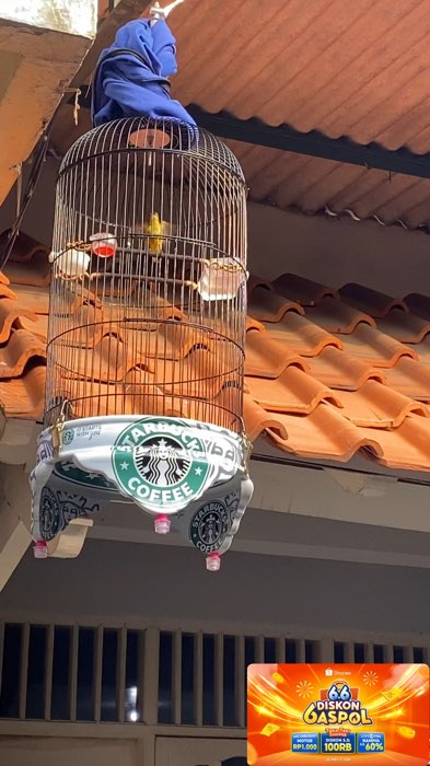 Sangkar burcil pvc #teboksangkarburunglovebird #tebokdecal #sangkarlovebird #shopeevideo