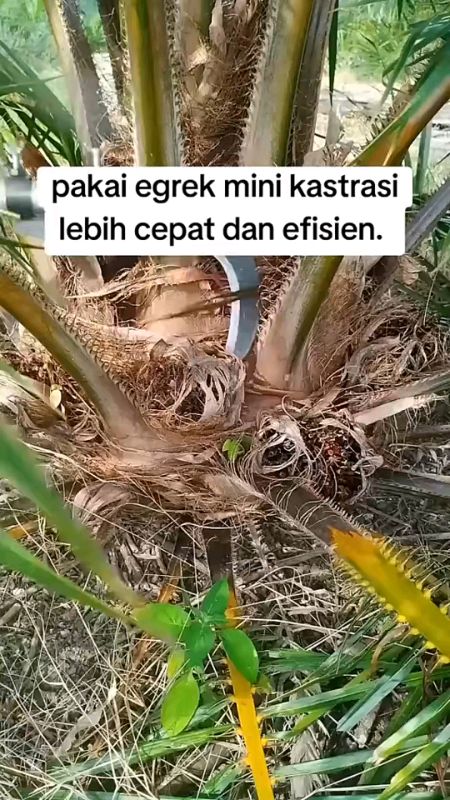 kerja an jadi lebih mudah #SpillRacunShopee #RacunShopeeCheck