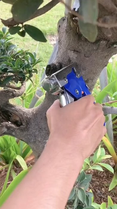 Stapler Gun sangat kuat dan praktis banget, penggunaan nya sangat mudah loh #santools #staplergun #stapler3in1 #stapler4in1 #fypシ゚viral