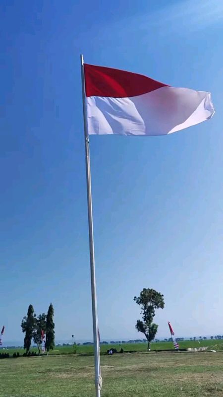 Bendera Indonesia #benderamerahputih #benderaindonesia #bendera #benderapremium #RacunShopee #TermurahDiShopee #SpillBawaBerkah #ViralDiShopeeVideo