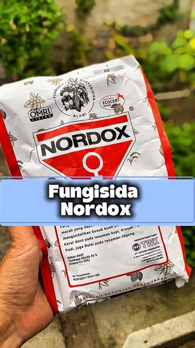 Fungisida bakterisida untuk busuk buah #NORDOX #fungisida #bakterisida #fungisidanordox #Nordox56WP #nordoxbakteridafungisida #busukbuah