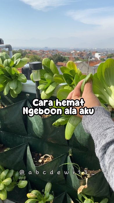 Tips hemat menanam dilahan terbatas #menanam #tanaman #planterbag #wallplanter #pottanaman #potmurah #berkebun #berkebunsayuran #RacunShopeeCheck