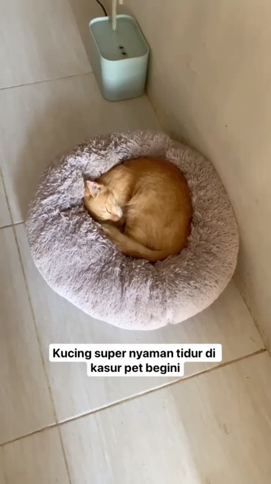 #shopeevideo #RacunShopee #shopeevideo