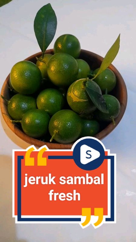 jeruk sambal#jeruksambal#lemoncui#jeruk#ShopeeCOD