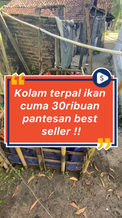 Kolam terpal murah cuma 30ribuan #kolamterpalikanmurah #kolamterpal30ribuan #shopeevideo #diskon50persen #shopeeCOD #RacunShopee