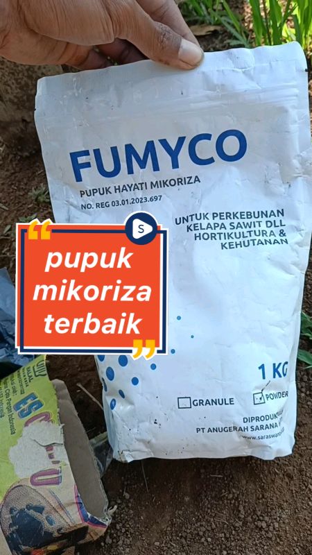 pupuk hayati mikoriza #mikoriza #pupukhayati #fumyco #organik #farming #holtikultura #ViralDiShopeeVideo #shopeevideo #trikoderma #fyp #pupukorganik
