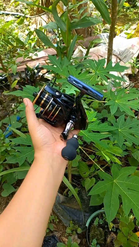 reel spinning deukjo ac ukuran 2000-7000 #reelspining #reelspiningmurah #deukioac #fishing