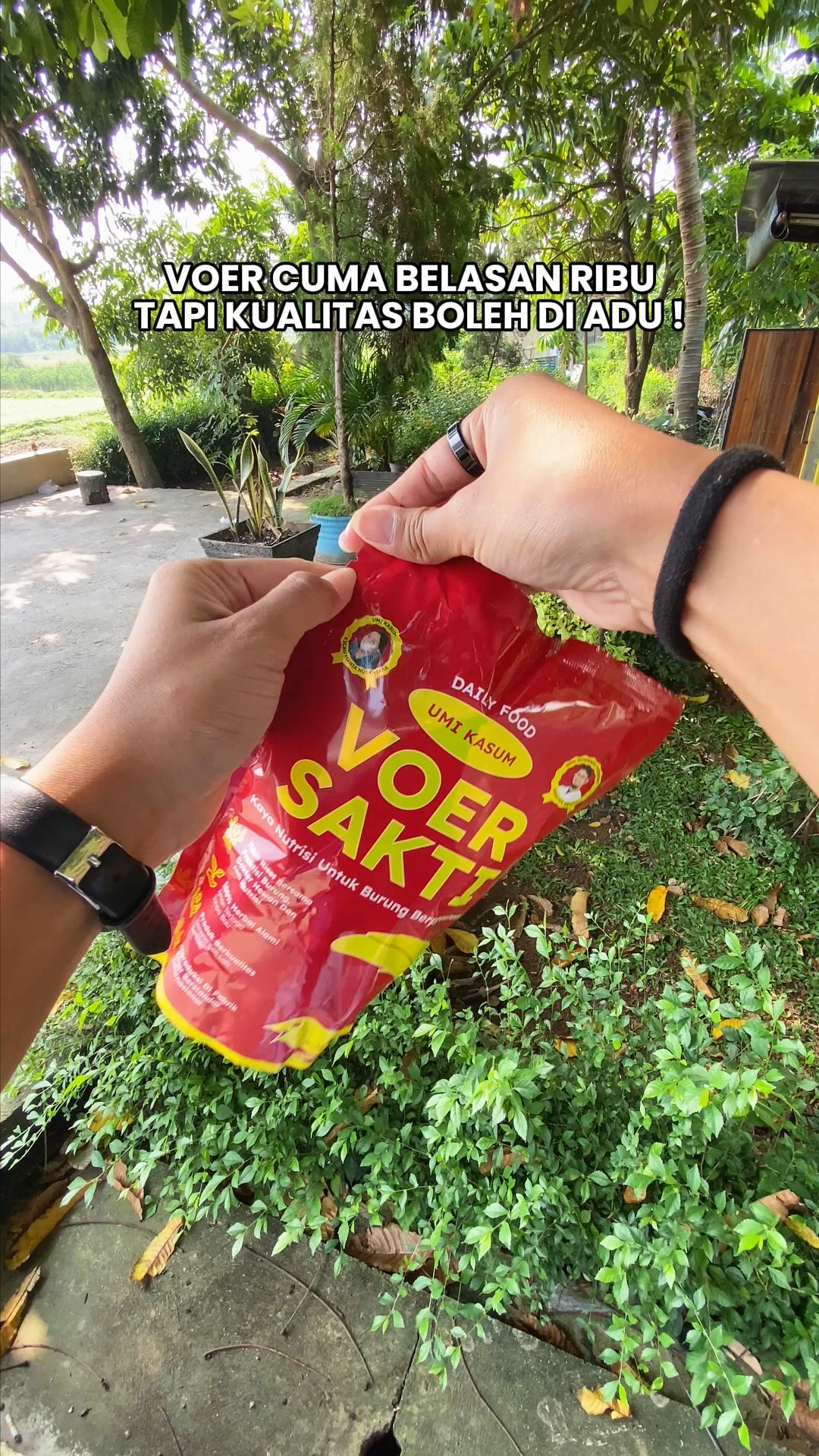 Voer Sakti kualitas nya JUARA 🔥 #umikasum #voersakti #voerburung #trending