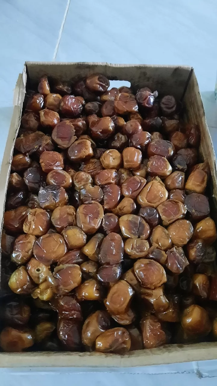 Distributor Kurma Sukari Medan