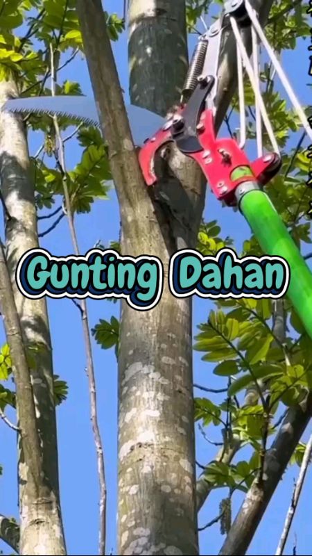 Gunting Dahan #guntingdahan #guntingdahanranting #guntingdahanpohon #guntingdahantinggi #RacunShopee #shopeefeed #ShopeeReview #ShopeeCOD #fyp #fypシ