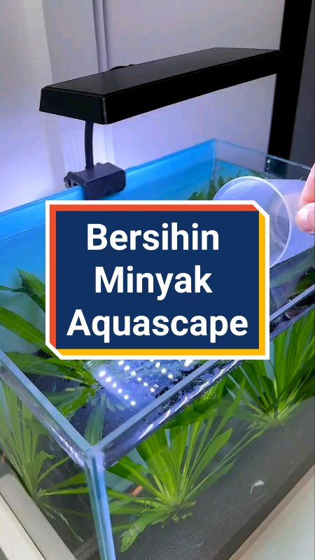 yang akuarium dan aquascape nya banyak minyak, bisa pakai ini sih #skimmer #filteraquarium #aquarium #aquascape #RacunShopee #shopeevideo #Cashback40P