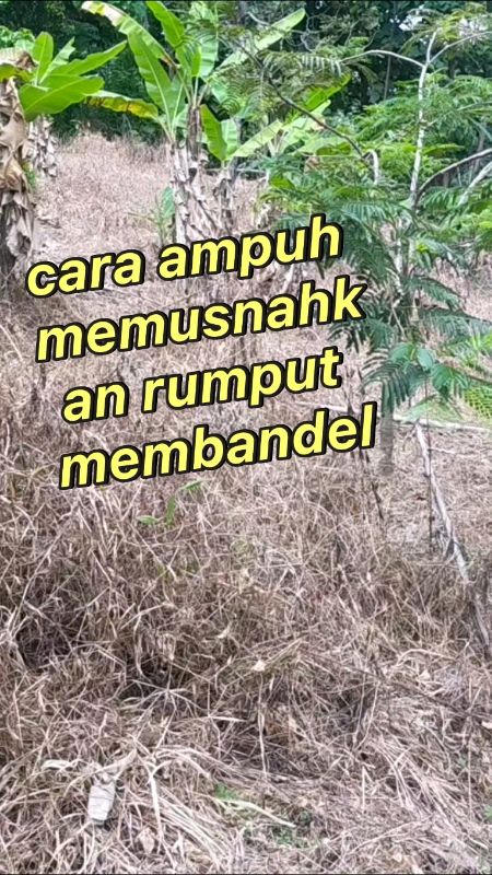 #krestra135sl #krestara #pemusnahrumputmembandel#krestra135sl