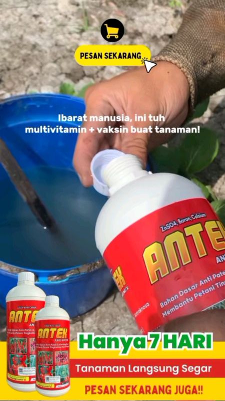 #Antek1Liter  #PupukOrganik  #PupukHayati  #PertanianOrganik  #PetaniModern  #SolusiPertanian  #PupukCair  #TanamanSubur  #PetaniCerdas  #produkpetani