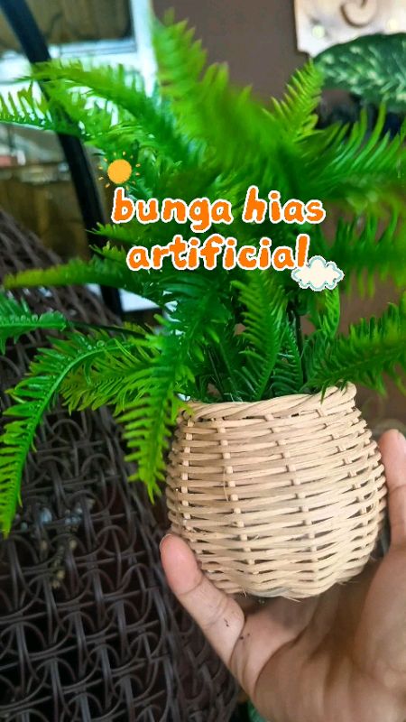 #bungahiasartificial #bungahiasanrumah #bungahiasmurah #bungahiasplastik #bungahiascantik #bungadekorasi #Speelracunshoopee #checkoutdishopee