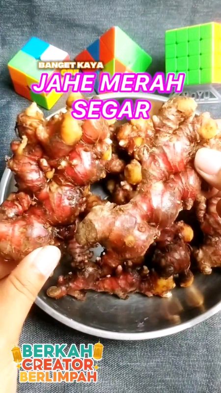 Jahe Merah Segar Kiloan #RacunShopee #jahe #GratisOngkirRP0 #jahemerah #ShopeeCOD #jahemerahsegar #SpillRacunShopee #jahemerahmurah #SpillBawaBerkah