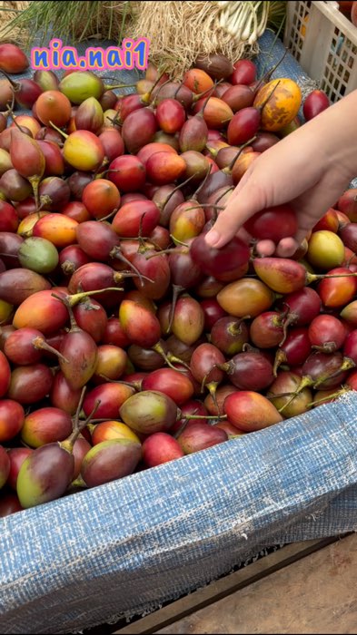 Buah Terong Belanda Atau Tamarillo #ShopeeCOD #fypシ