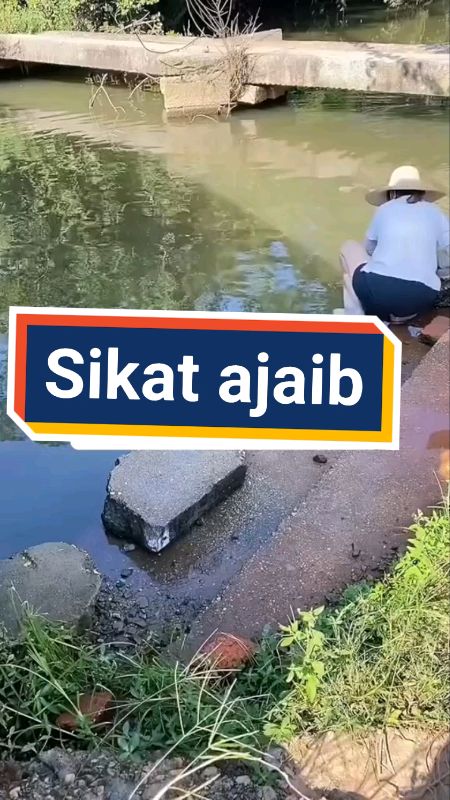 sikat cuci ajaib#sikatbajudansabun #sikatbajumultifingsi #shopeevideo