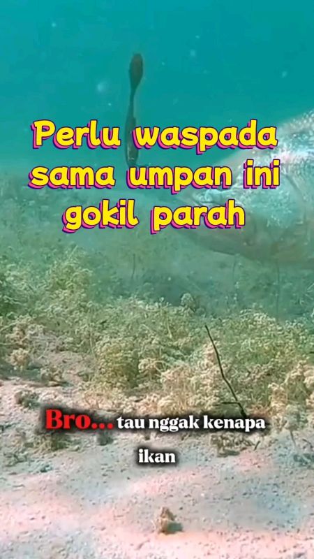 Lure paling killer #fishing #lurepancing #mancingmania #mancing #RacunShopee #umpanikan #diskonshopee #umpanpancingviral #fyp