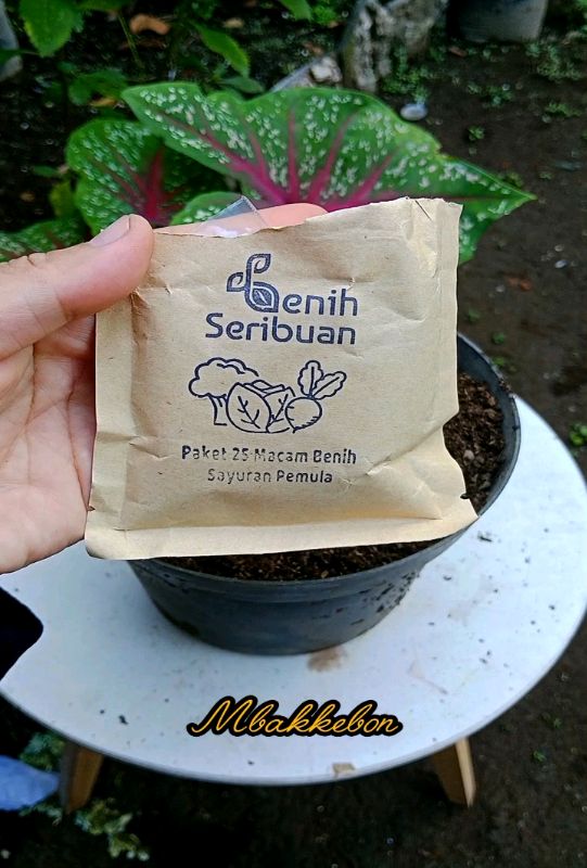 #berkebundirumah #PromoNontStop #ViralDiShopeeVidio #DiskonRacunShopee #GratisOngkirRP0 #benihseribuan #benihseribuanterlaris #benihseribuanofficial