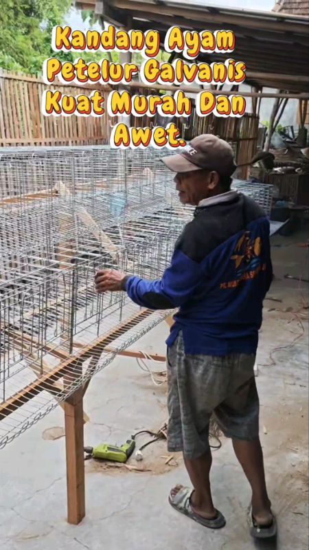 Kandang Ayam Petelur Galvanis Asli Bagus Banget #kandangayampetelur #kandangayampetelurgalvanis #RacunShopee #DiskonRacunShopee #GratisOngkirRP0 #fyp