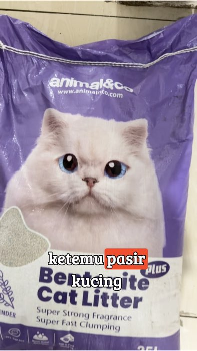 Pasir kucing bentonite #catlitter #pasirkucing #bentonite #lavender #pasirgumpalwangi