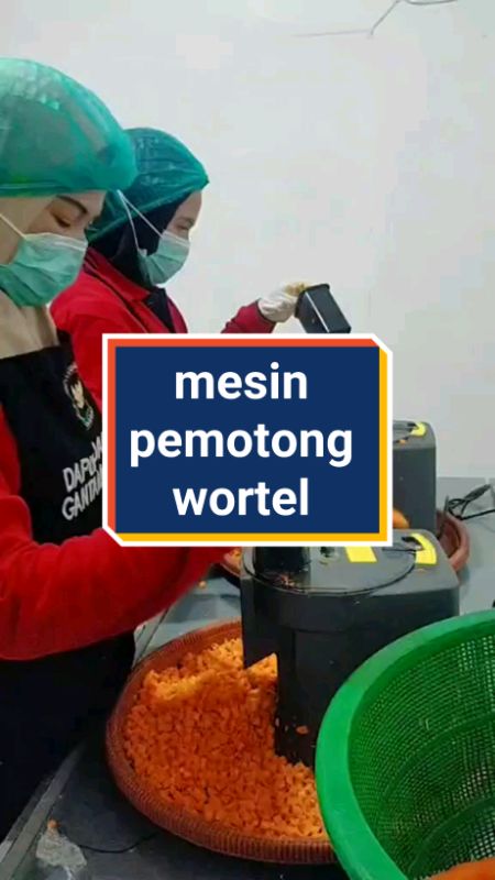mesin pemotong sayur #mesinpemotong