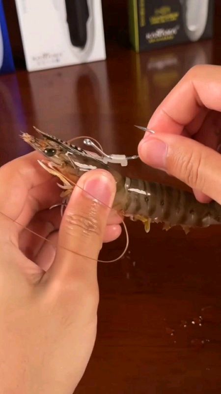 mata kail umpan udang hidup #SpillRacunShopee #ShopeeCOD #DiskonRacunShopee #RacunShopeeCheck #RacunShopeeUnik #RacunShopee